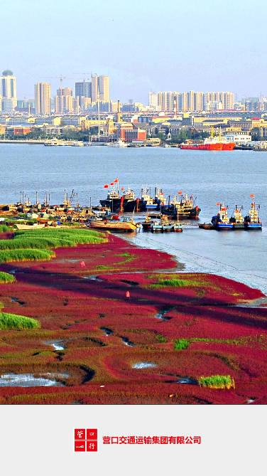 营口行app下载安装2023最新版