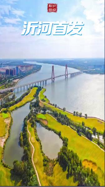 沂河首发手机客户端