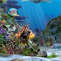 3d水族馆动态壁纸app