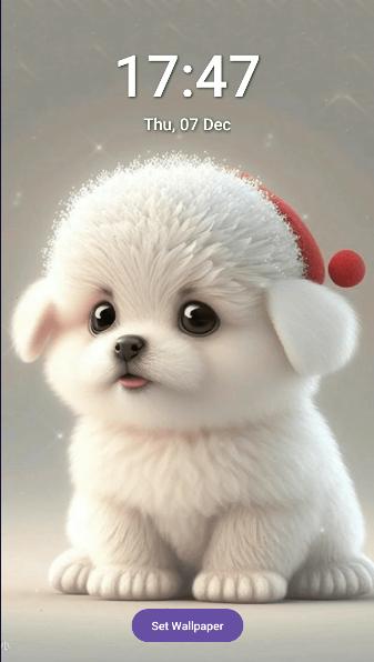 小狗高清壁纸软件免费版