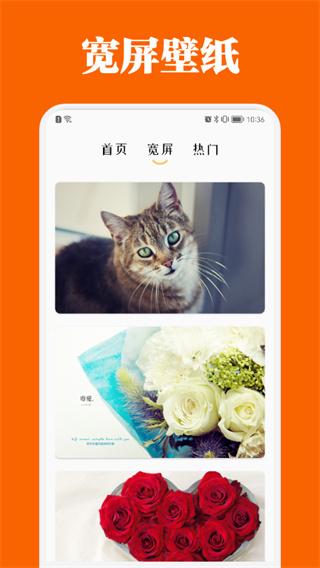 百变主题商店手机版  v5.2.1