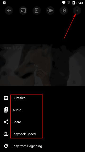 SX Player全格式播放器