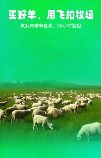 飞扣牧场原生态在线养羊APP客户端 飞扣牧场原生态在线养羊APP客户端