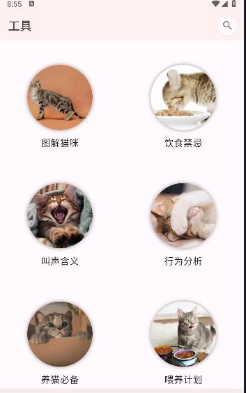 猫品种大全软件下载安装最新 猫品种大全软件下载安装最新