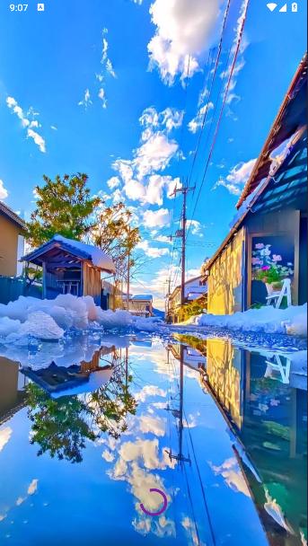 动漫壁纸2024最新软件下载安装