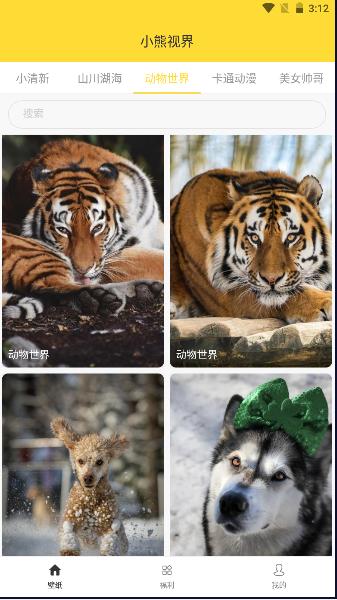 小熊视界壁纸高清版APP 小熊视界壁纸高清版APP