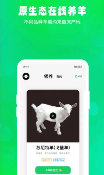飞扣牧场原生态在线养羊APP客户端 飞扣牧场原生态在线养羊APP客户端