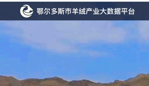 羊绒大数据APP官方版