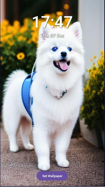 小狗高清壁纸软件免费版