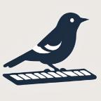 啄字鸟写作APP v1.0.0 安卓版