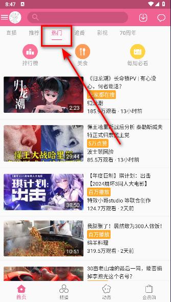 Mybilibili极简版app