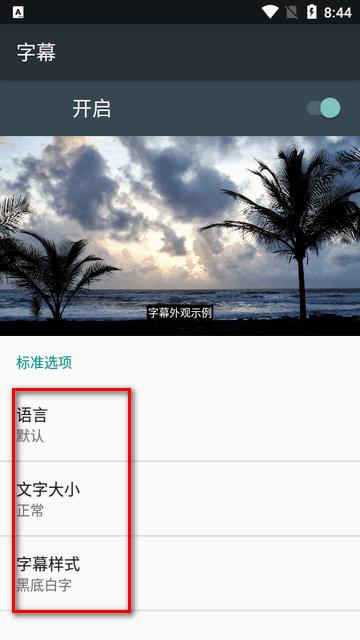 SX Player全格式播放器