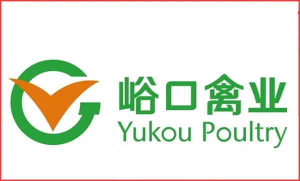 智慧青年鸡云平台APP