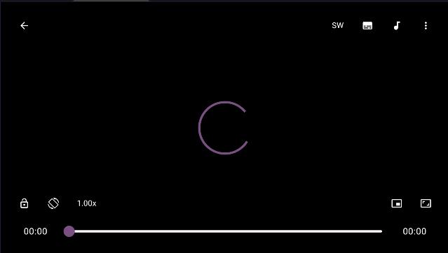 mpvKt播放器纯净版