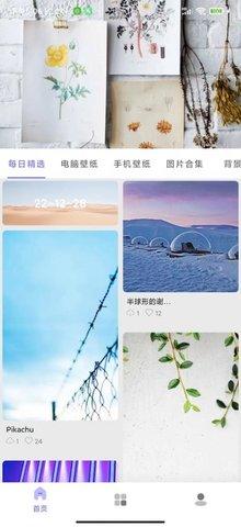 派派壁纸  v6.1.2