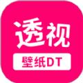 透视手机动态壁纸
