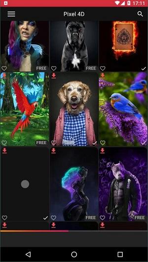 pixel 4d  v4.2.2