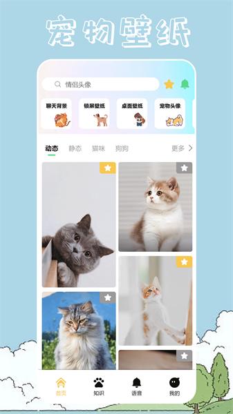 桌面宠物壁纸  v6.0.1