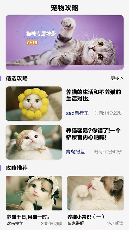 可爱喵喵壁纸大全  v6.0.2