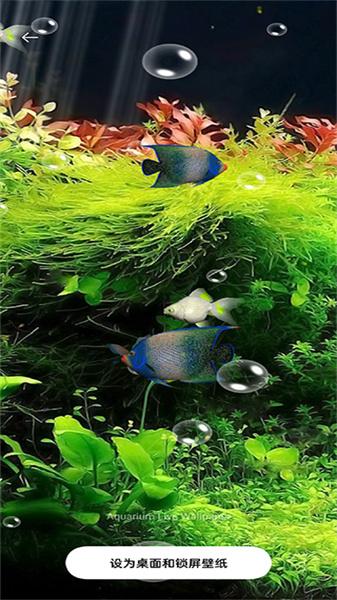 水族馆动态壁纸汉化版