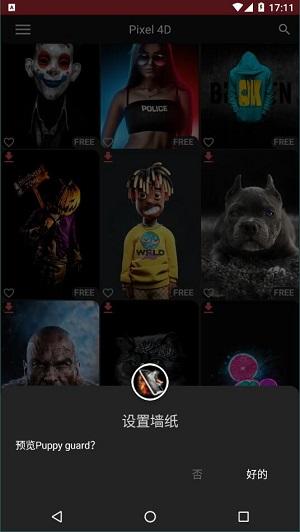 pixel 4d  v4.2.2