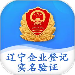 辽宁企业登记实名认证