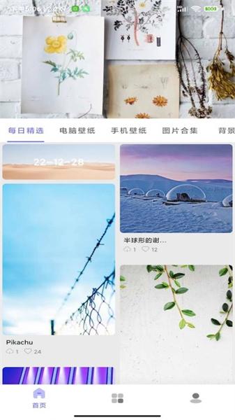 派上壁纸  v5.0.4