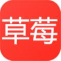 草莓免费短剧