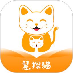 慧探猫