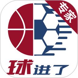 球进了