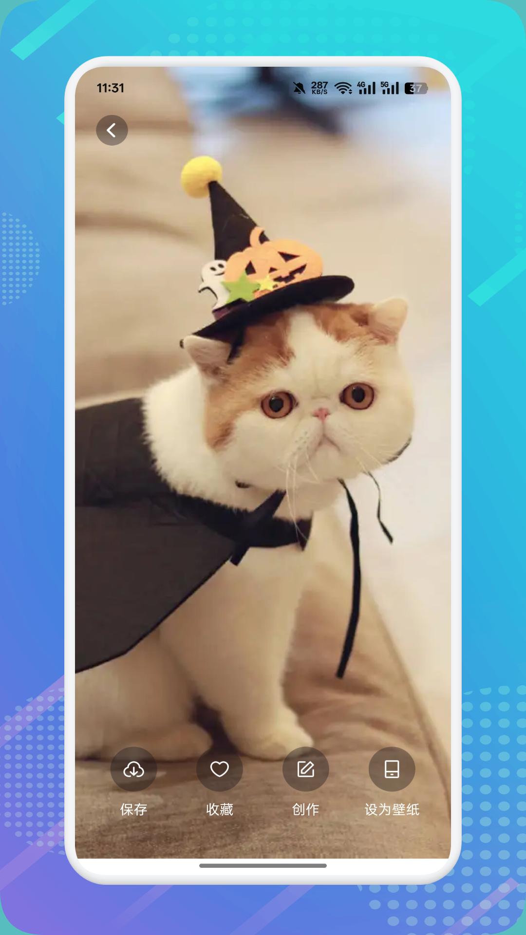 猫咪社区 v4.4.4