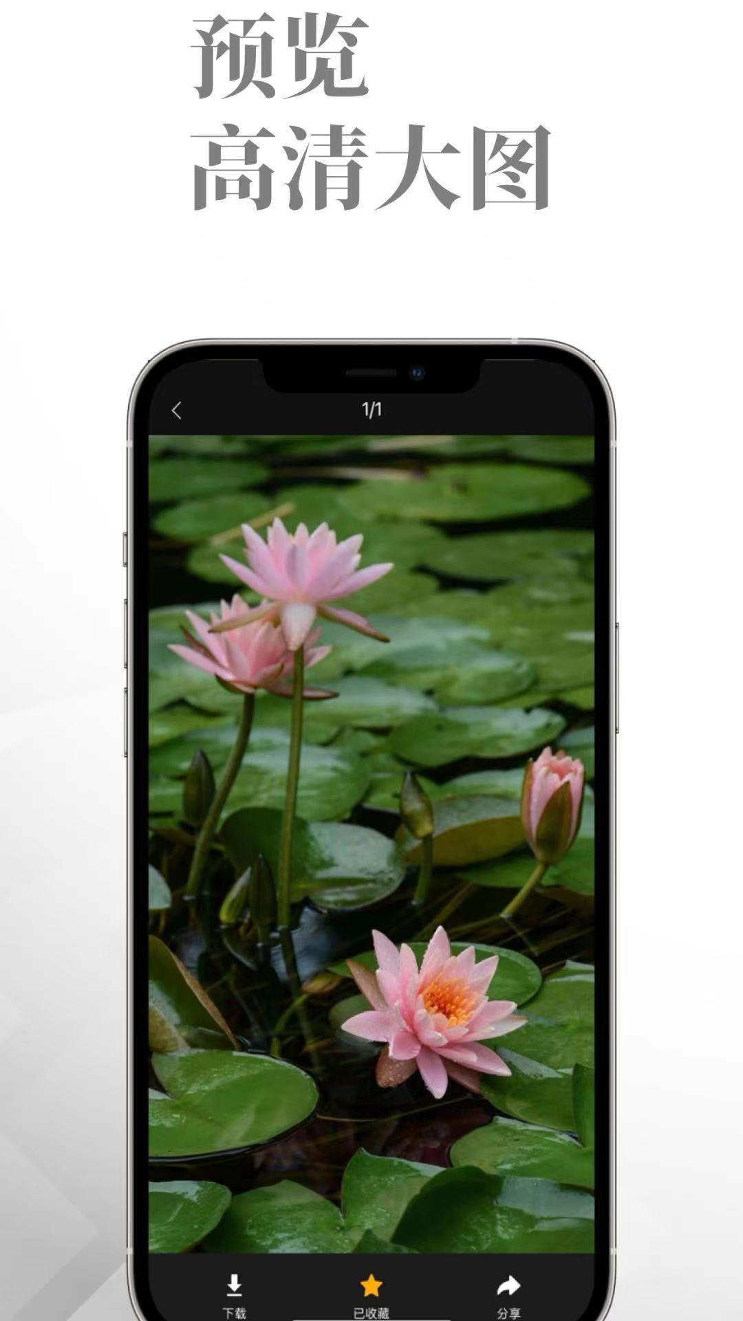 悠岛 v4.5.4