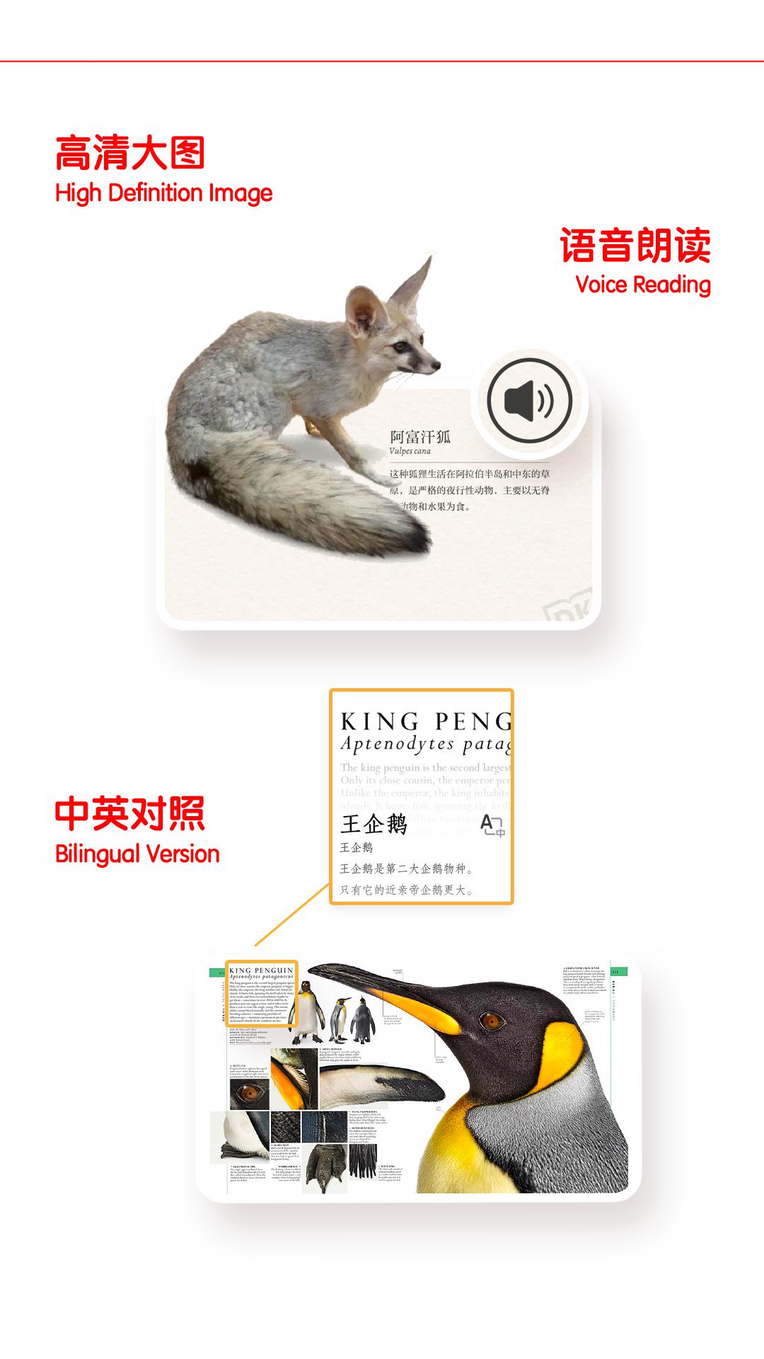 千奇百科岛 v3.4.4
