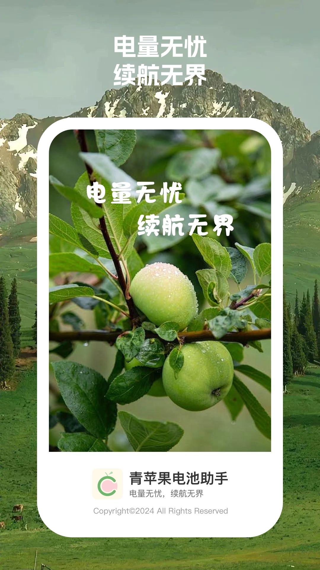 青苹果电池助手 v6.3.3