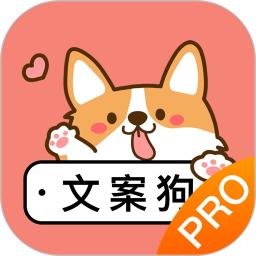 文案伴侣