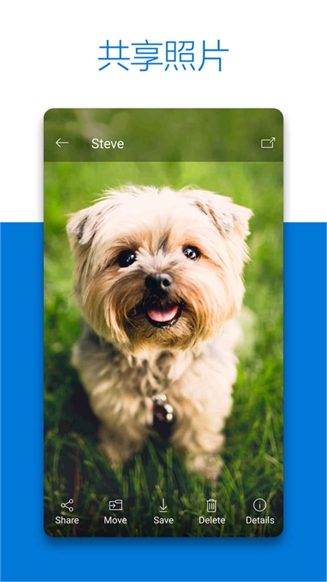 SkyDrive v6.5.3