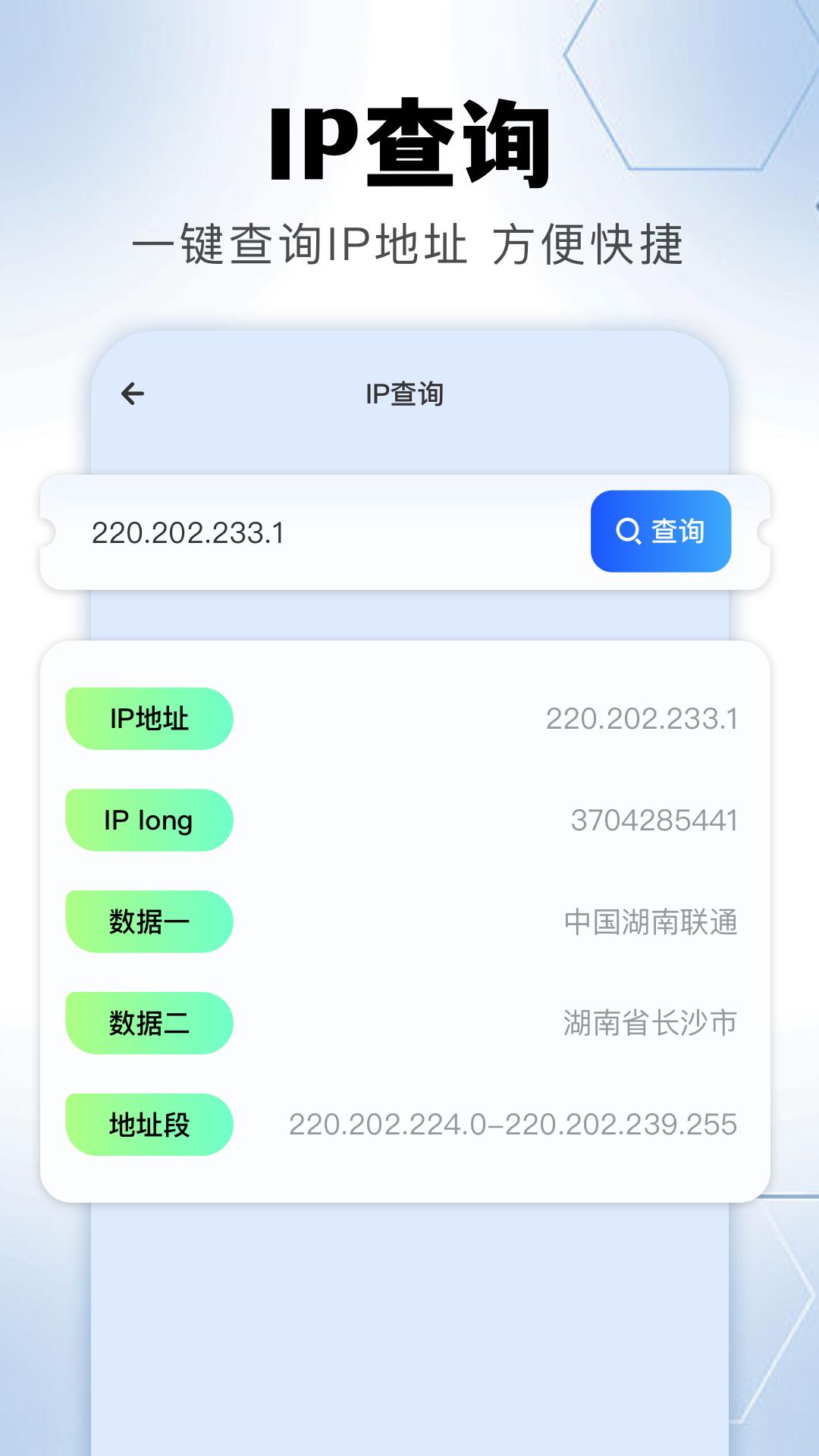 金砖弱网 v5.5.2