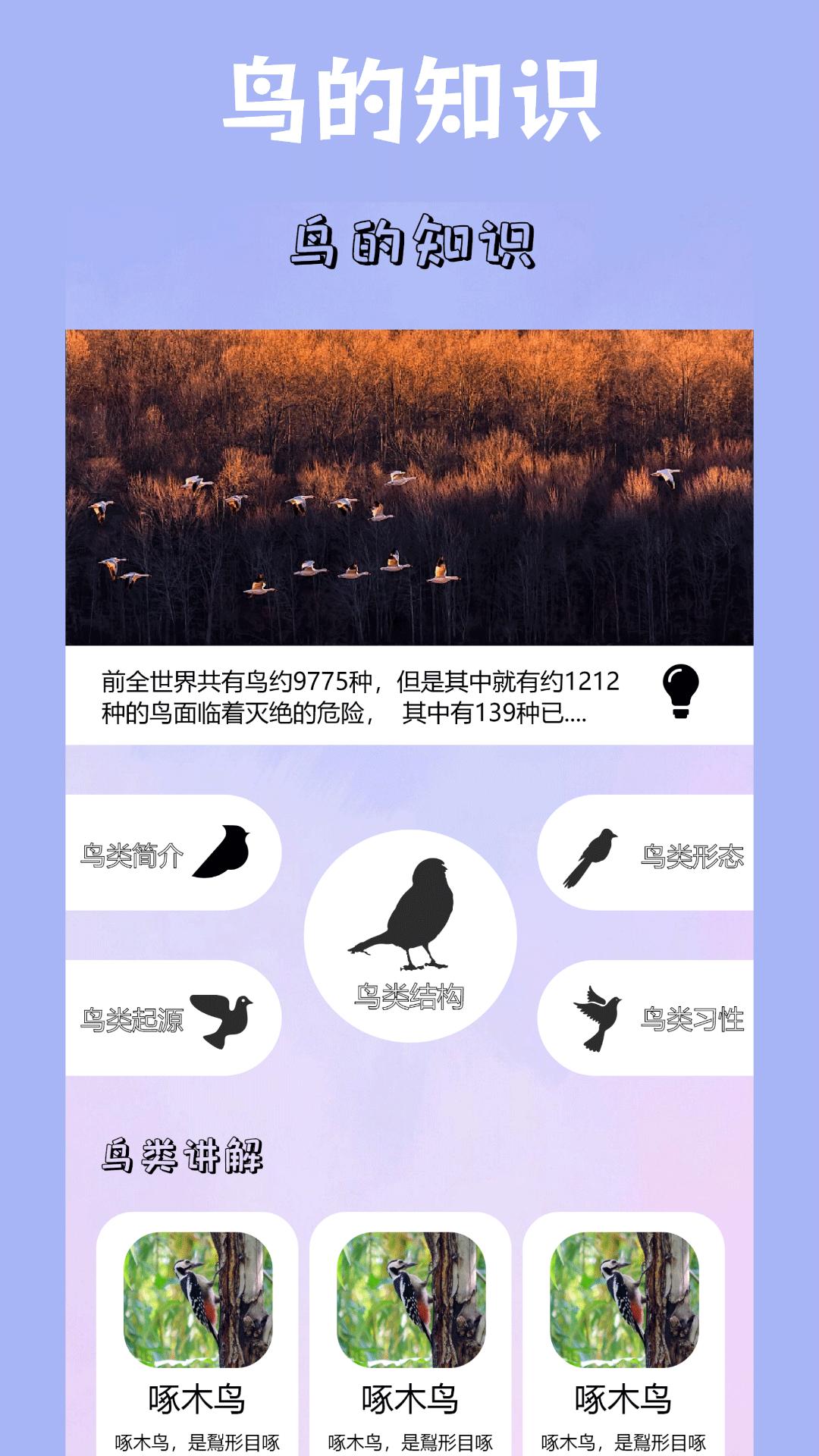 小鸟壁纸 v4.0.4