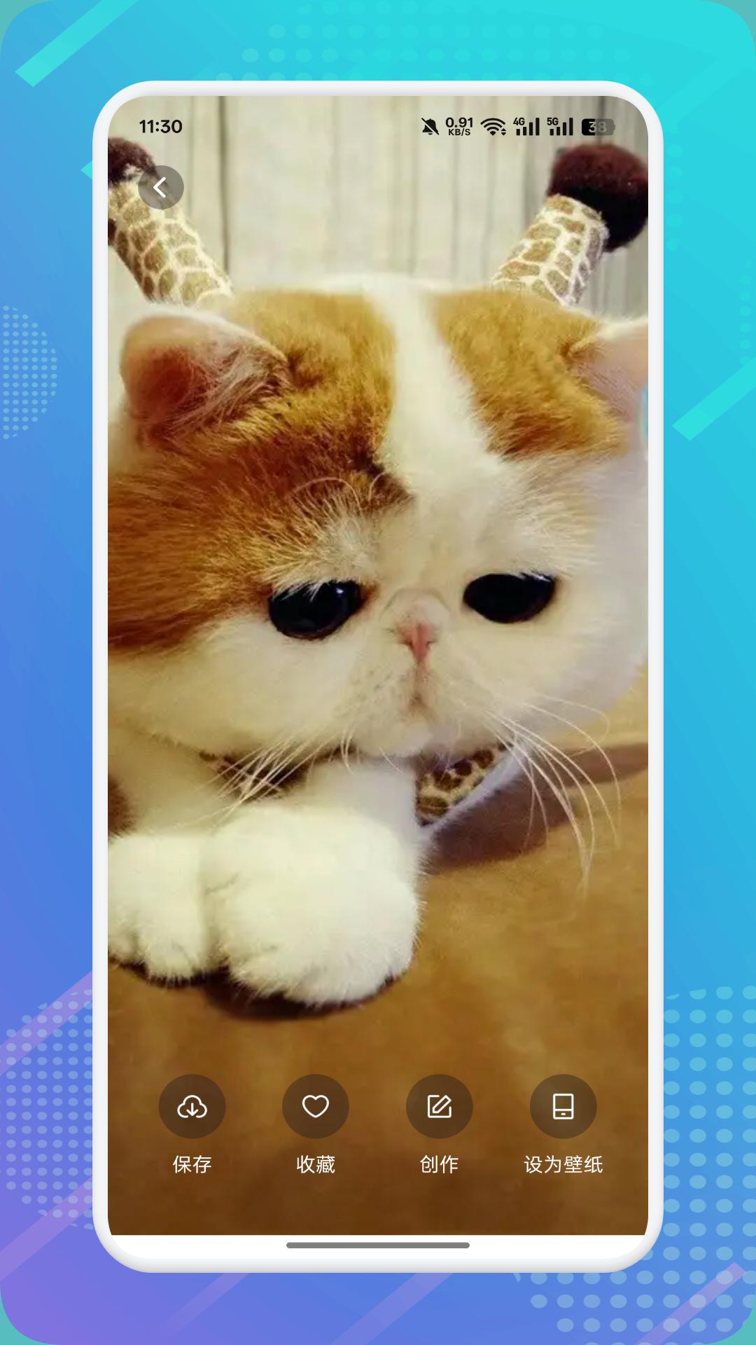 猫咪社区 v4.4.4