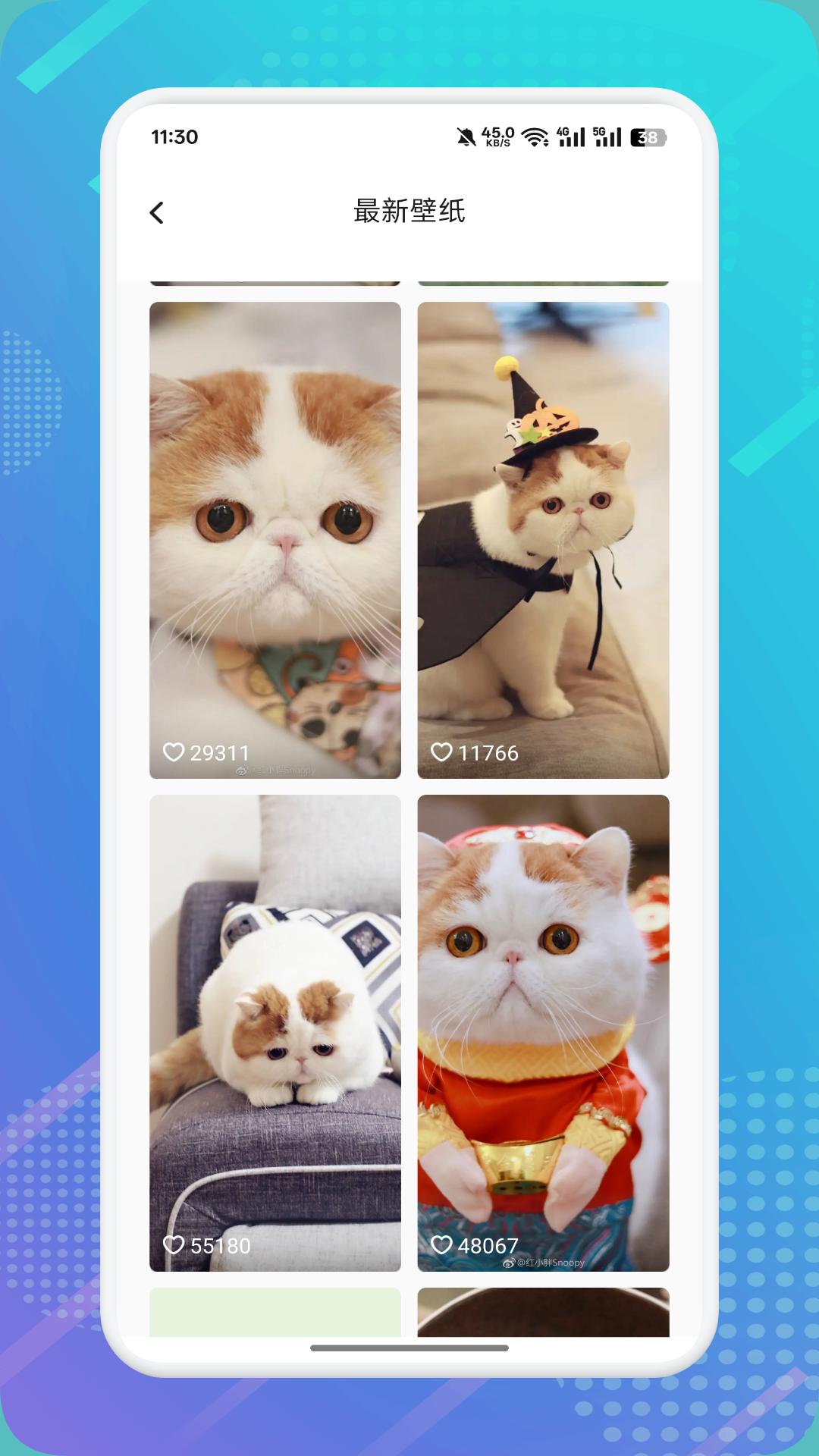 猫咪社区 v4.4.4