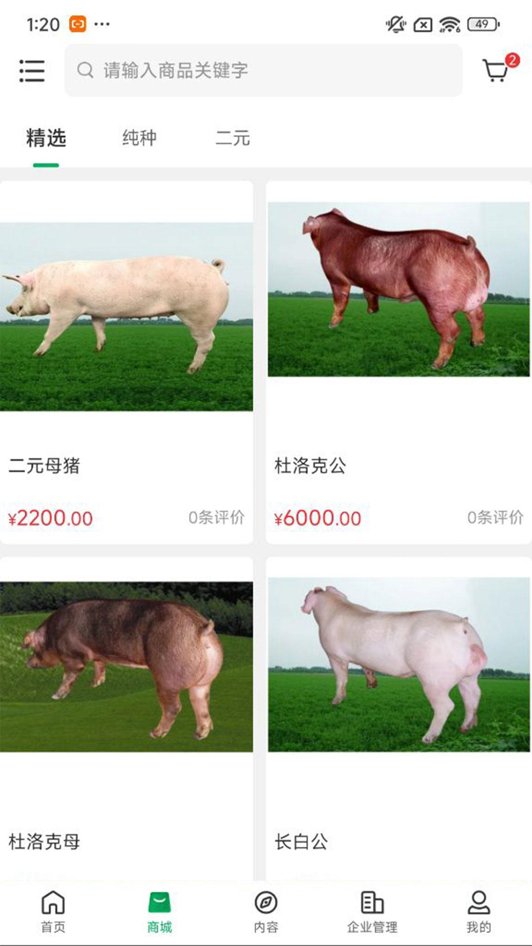 中育种猪 v4.5.2