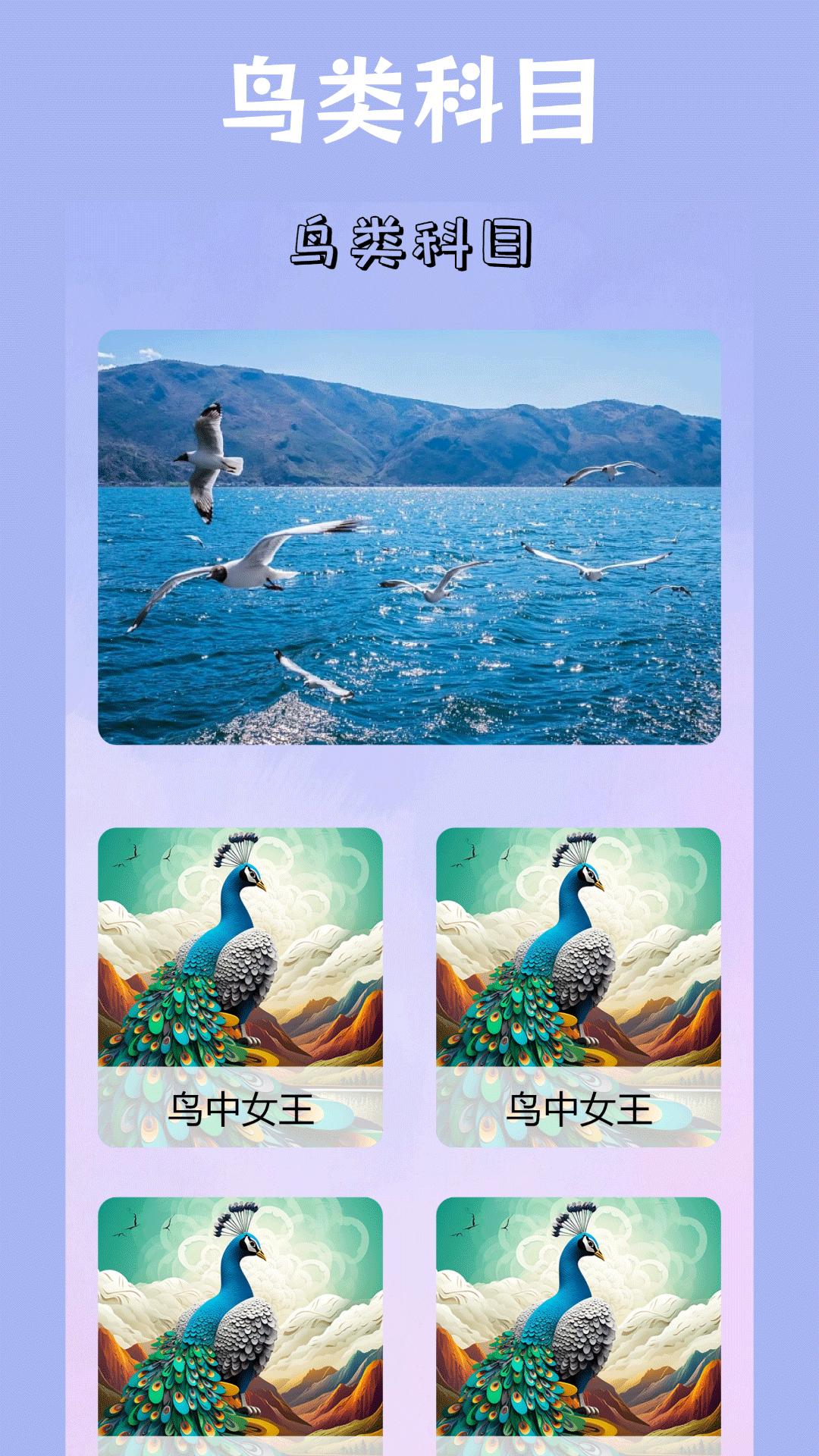 小鸟壁纸 v4.0.4
