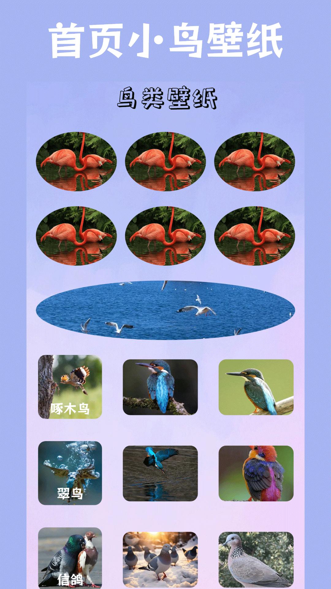 小鸟壁纸 v4.0.4