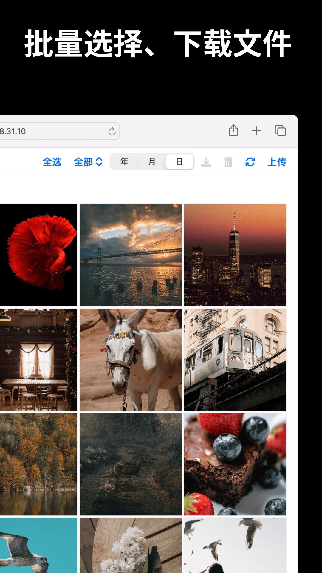 文件闪传 v4.1.2