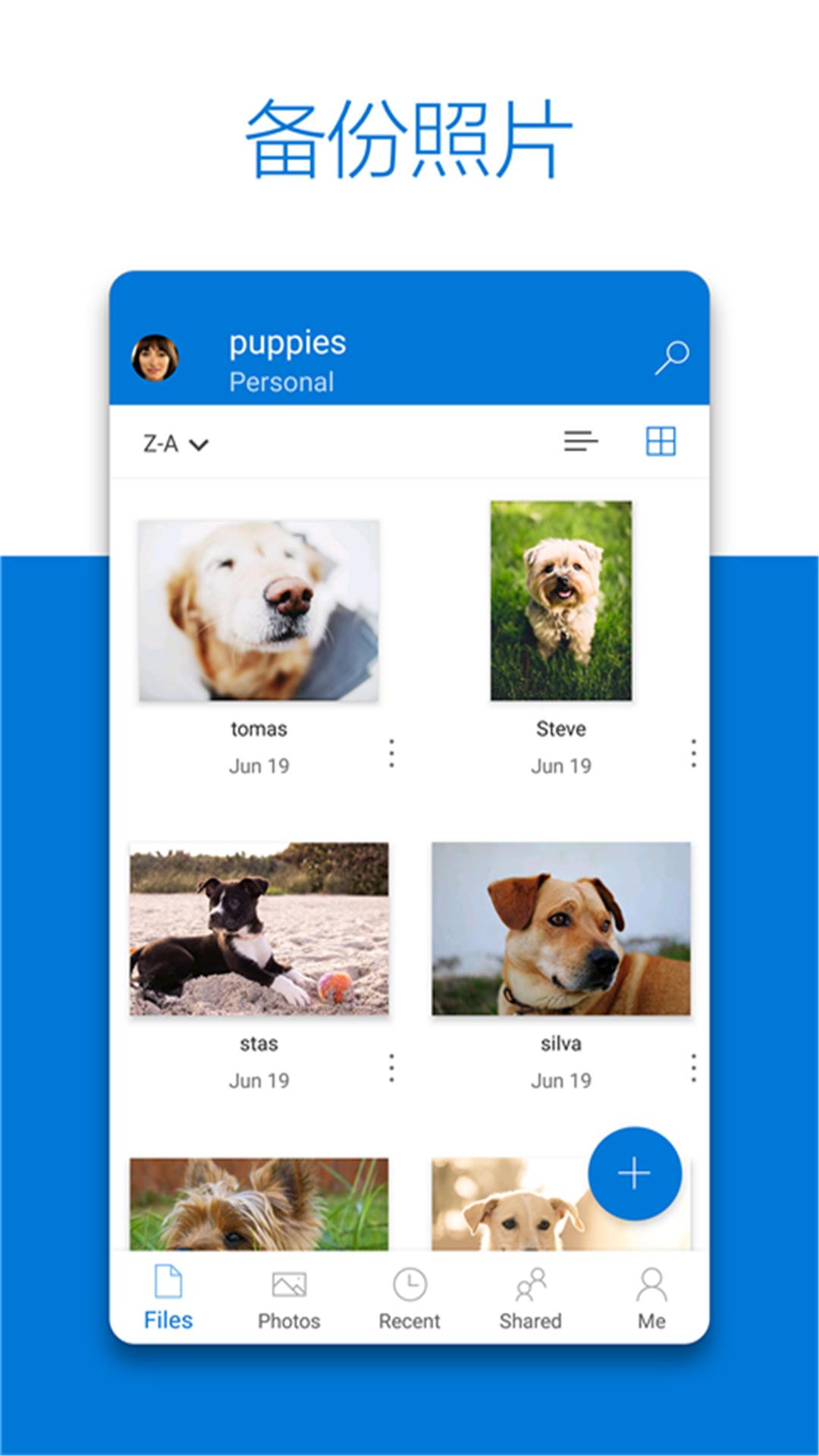 SkyDrive v6.5.3