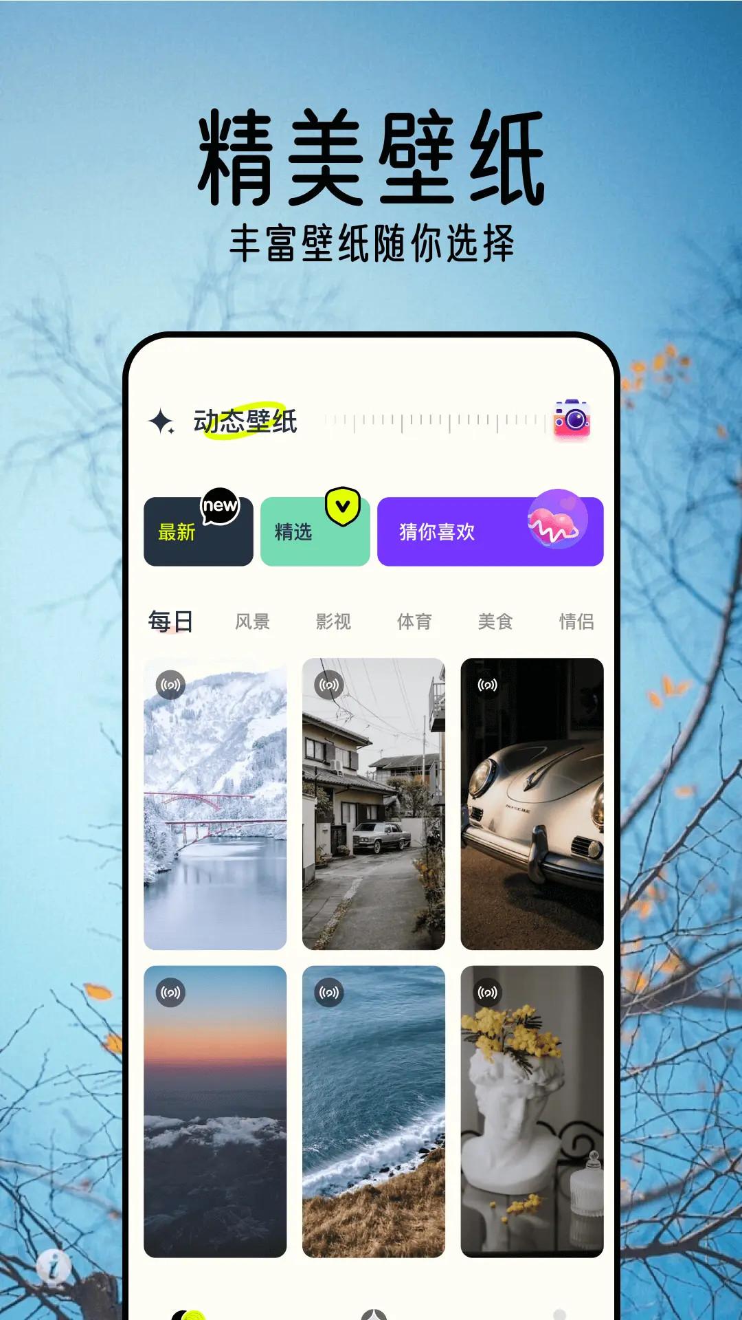 桌面壁纸精灵 v5.5.4