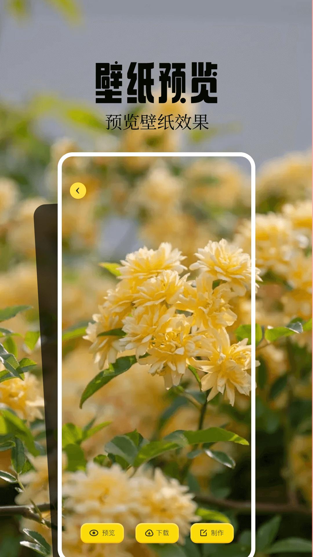 火花壁纸 v6.3.3