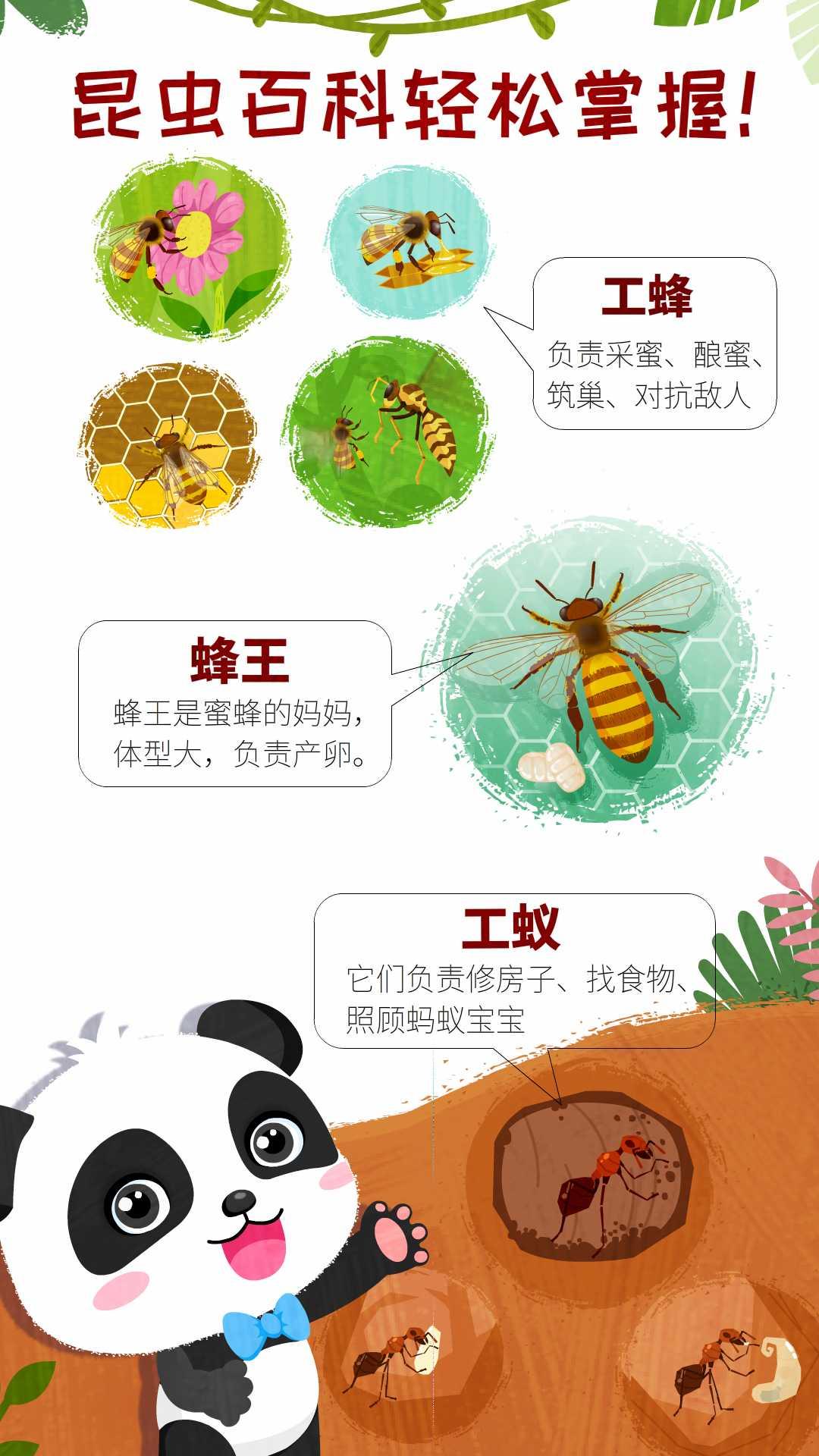 奇妙昆虫世界 v3.3.4