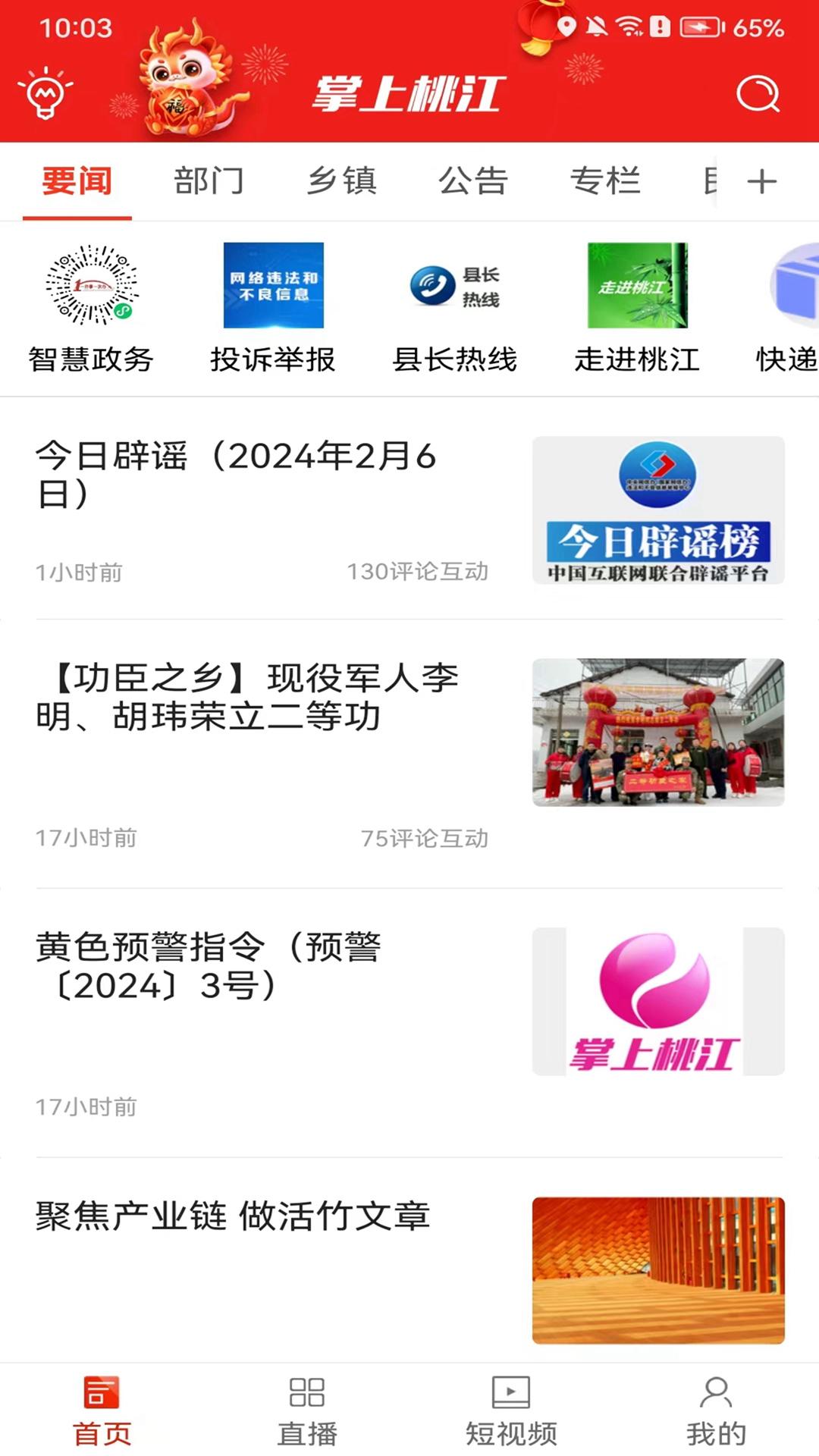 掌上桃江