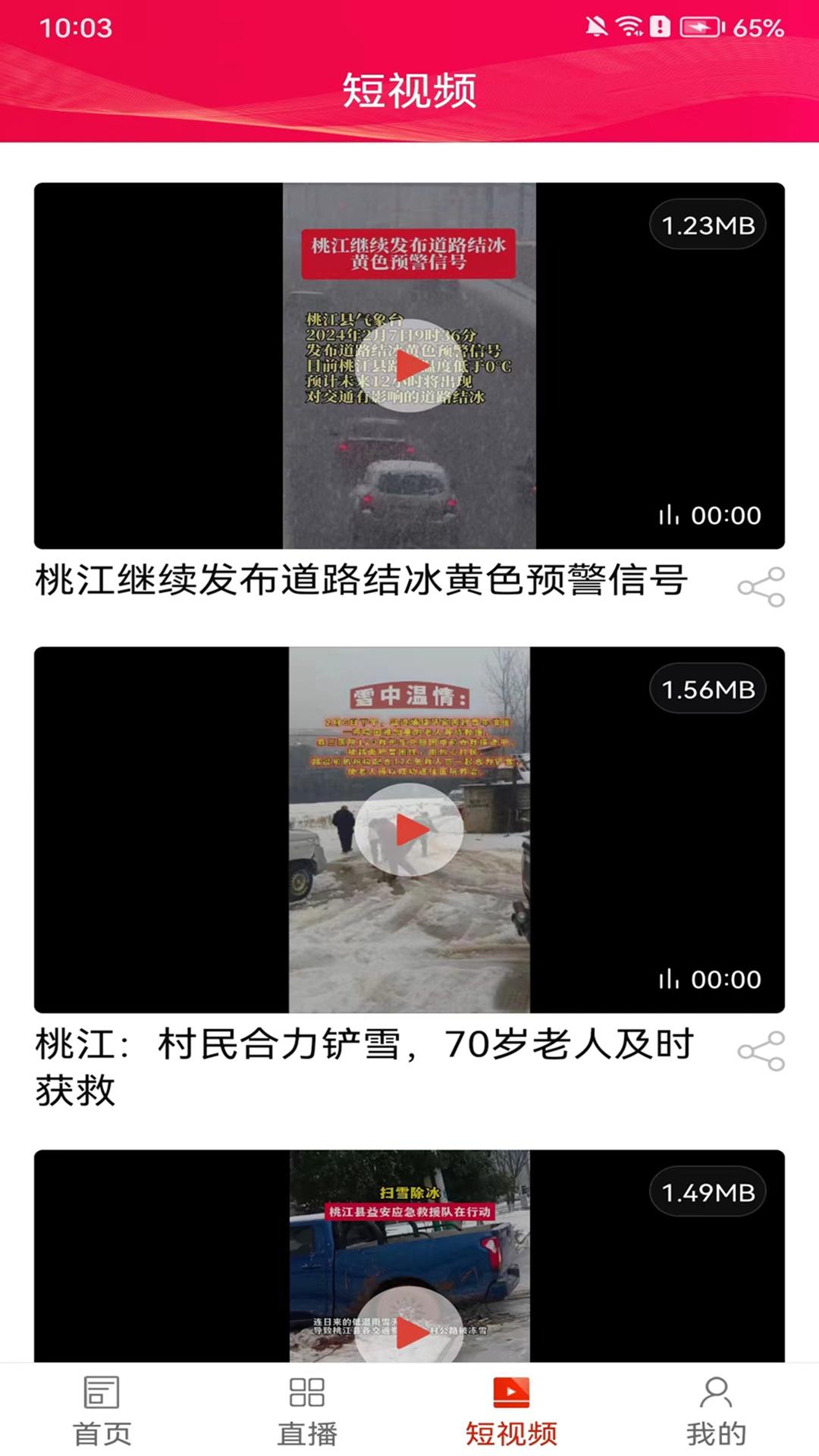 掌上桃江